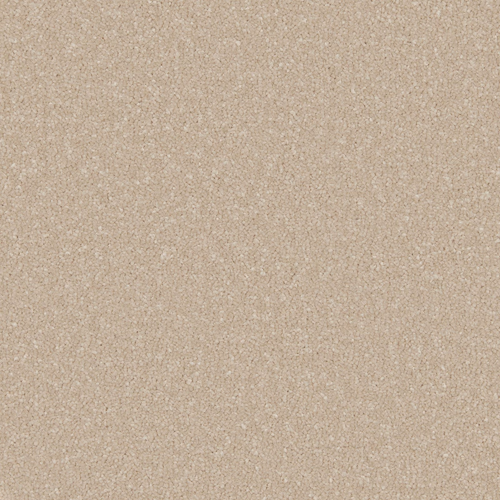Close view of warm beige Cloudy Bay carpet with fine mottled texture