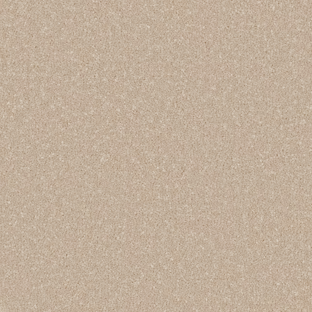 Close view of warm beige Cloudy Bay carpet with fine mottled texture