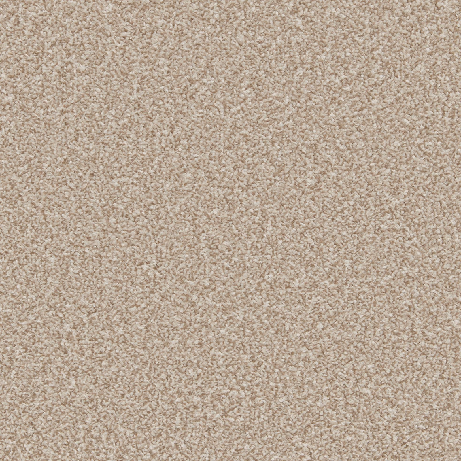 Warm doeskin beige carpet with dense flecked pile and soft tonal texture