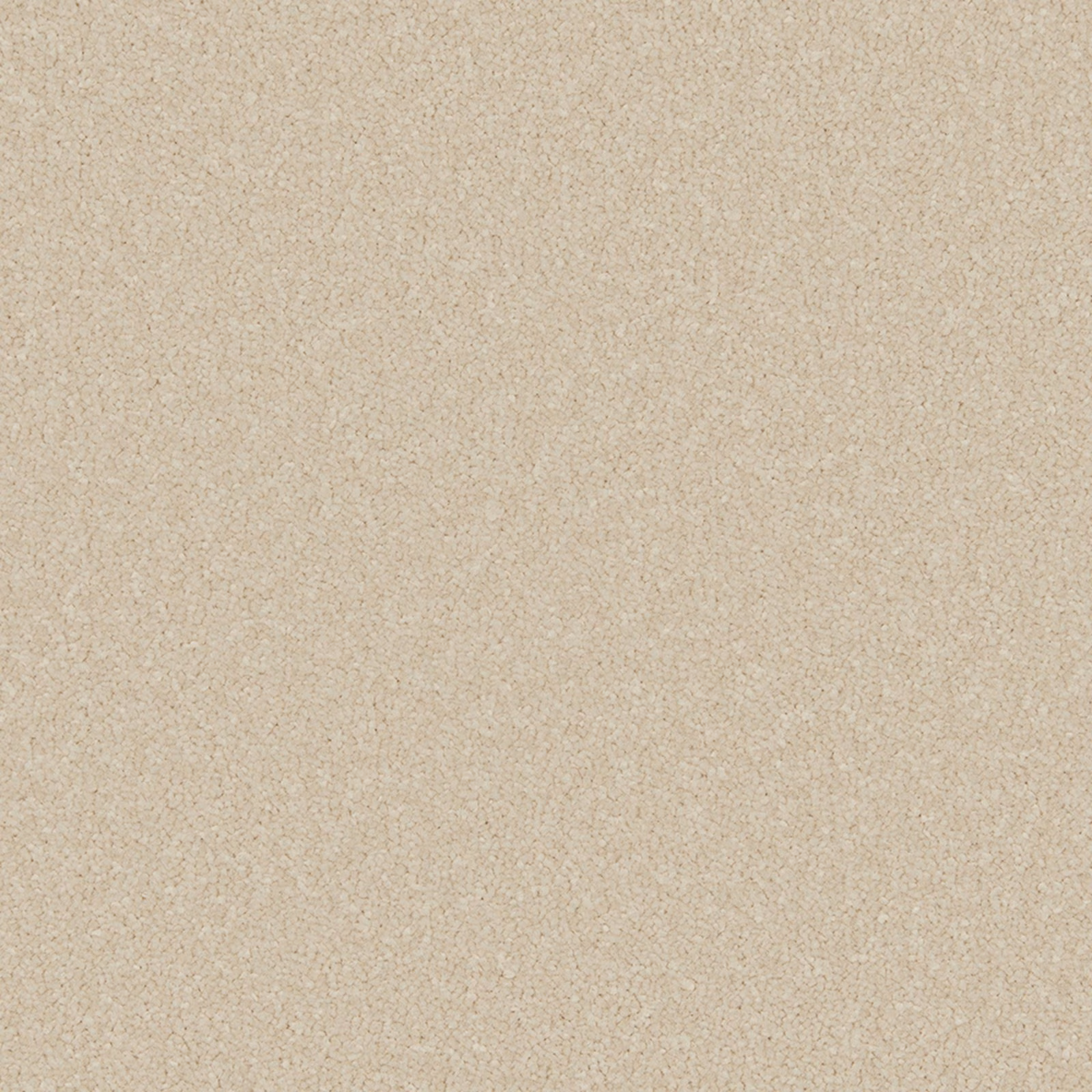 Warm ecru carpet swatch with a fine, softly mottled beige texture