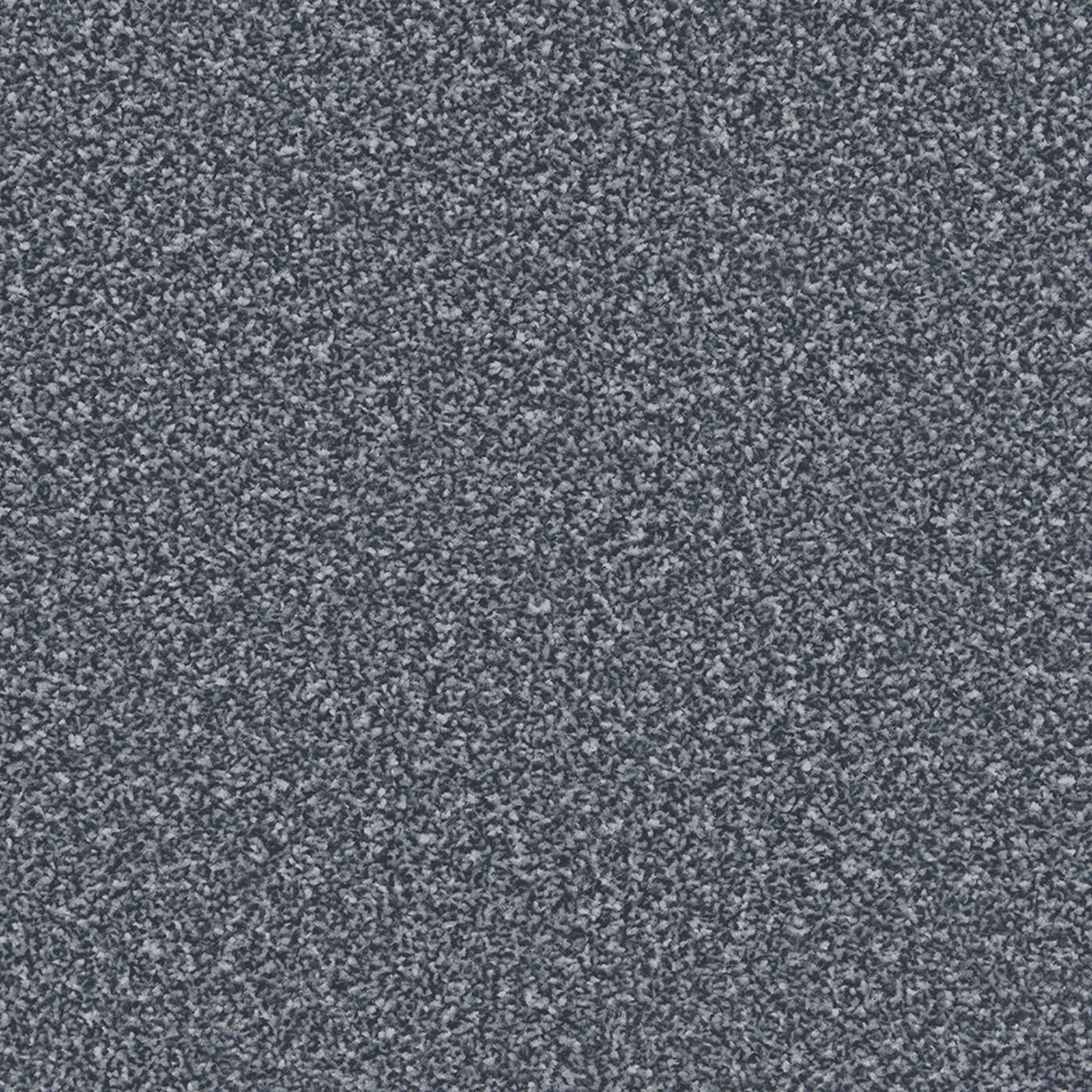 Dense Eucalyptus carpet in cool blue-grey with fine contrasting flecks and soft pile texture