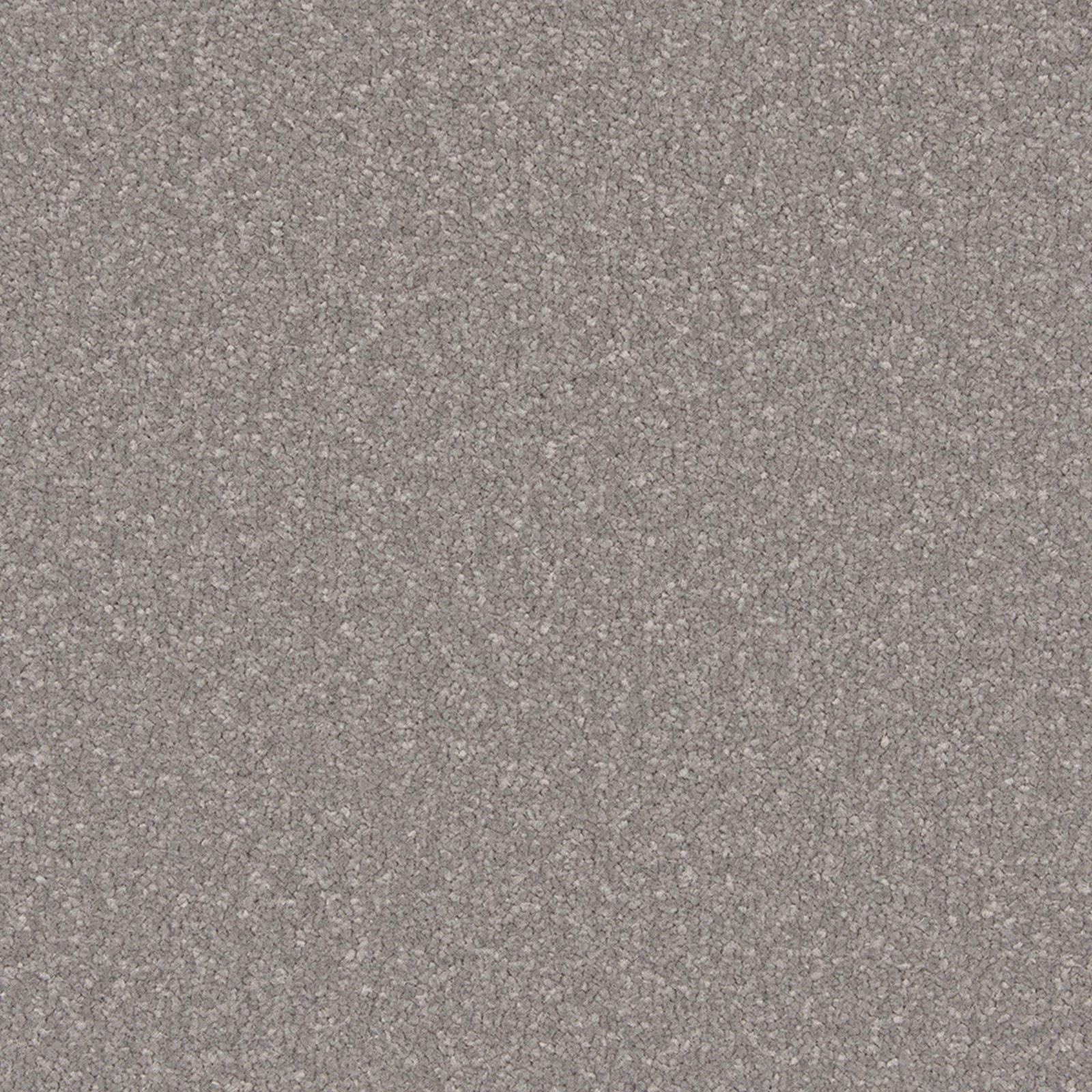 Cool French Grey carpet swatch with dense short pile and fine tonal flecking
