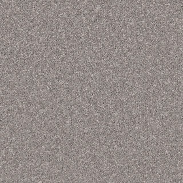 Cool French Grey carpet swatch with dense short pile and fine tonal flecking