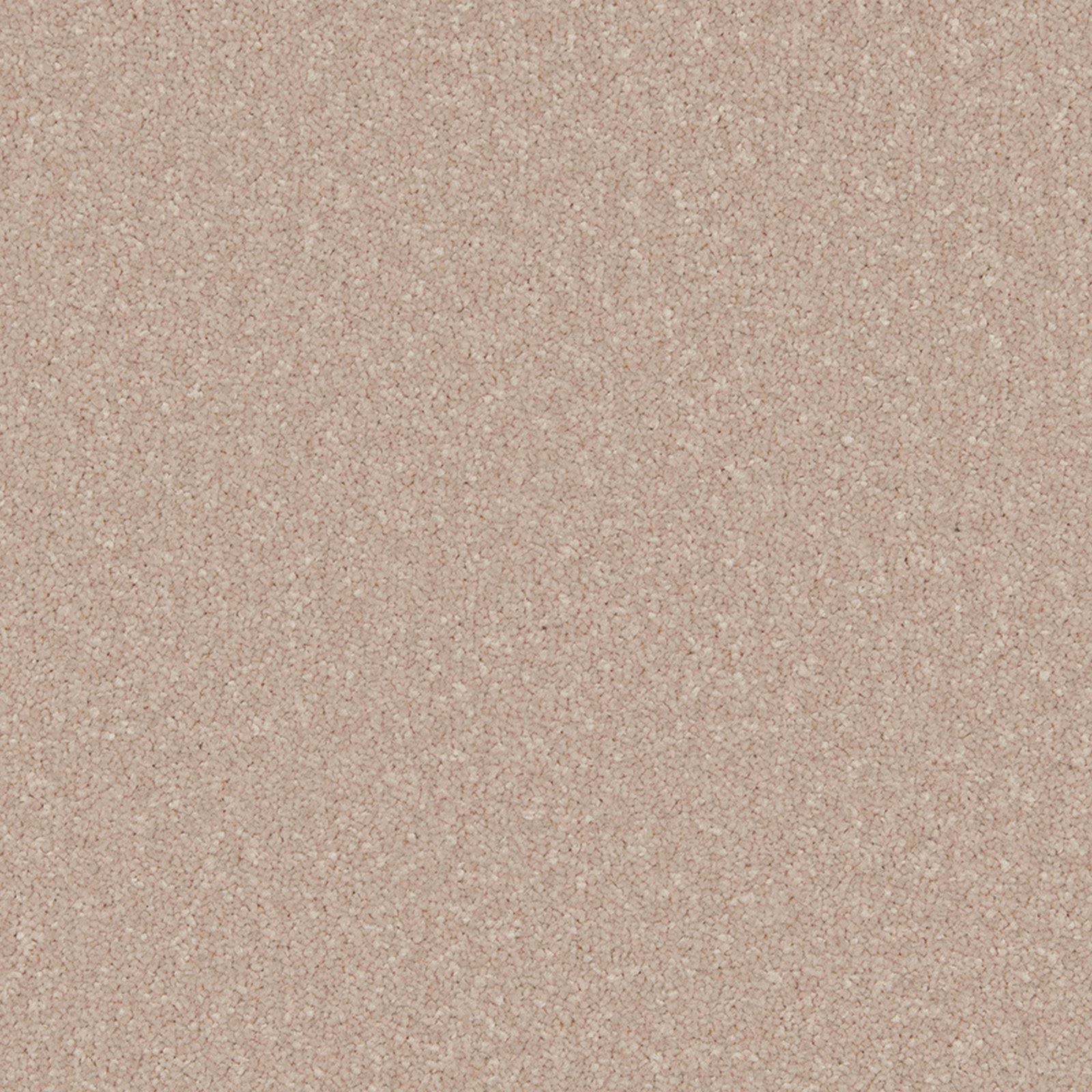 Warm mushroom-beige carpet with softly flecked, close-textured pile