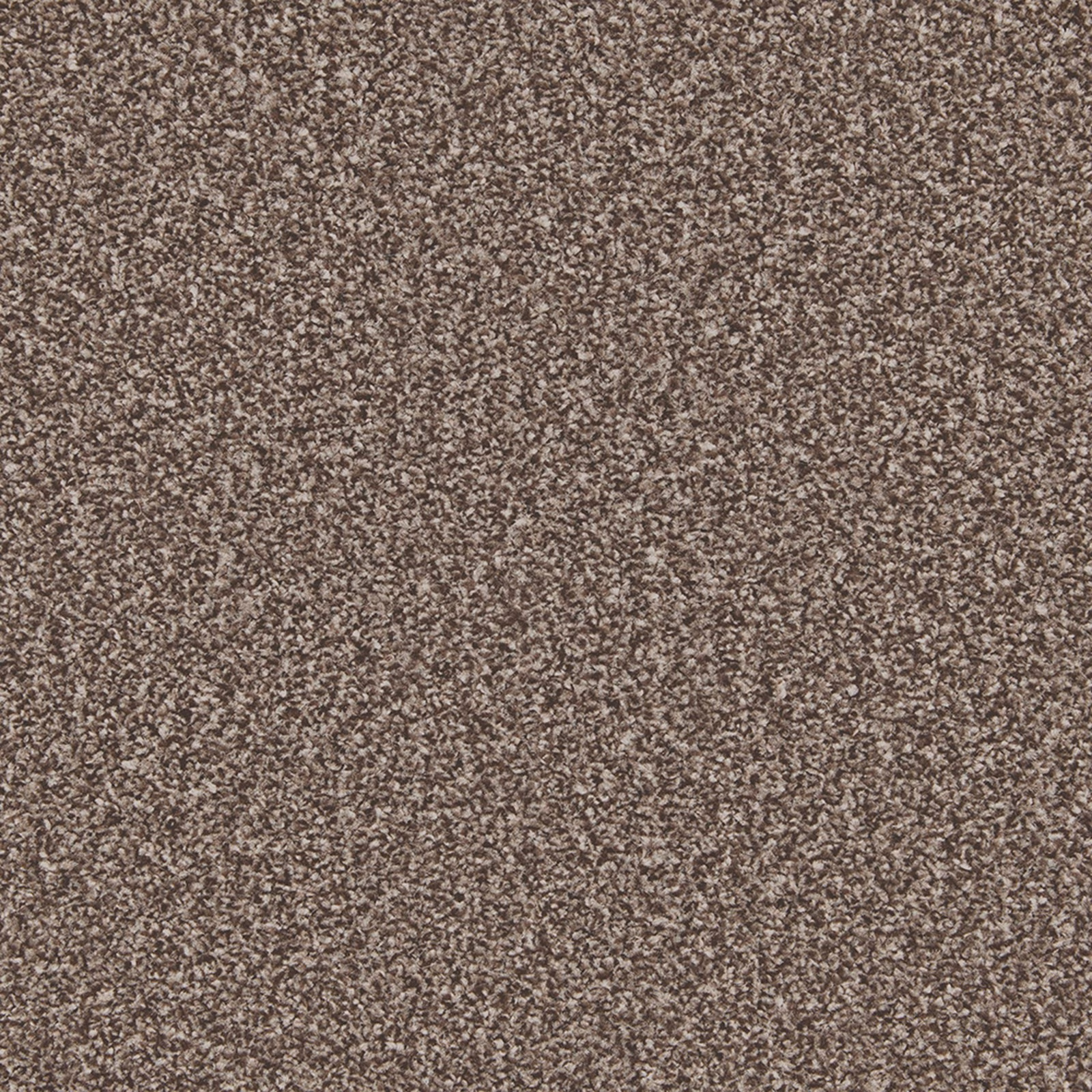 Dense Peppercorn carpet texture in warm taupe-brown with fine contrasting flecks