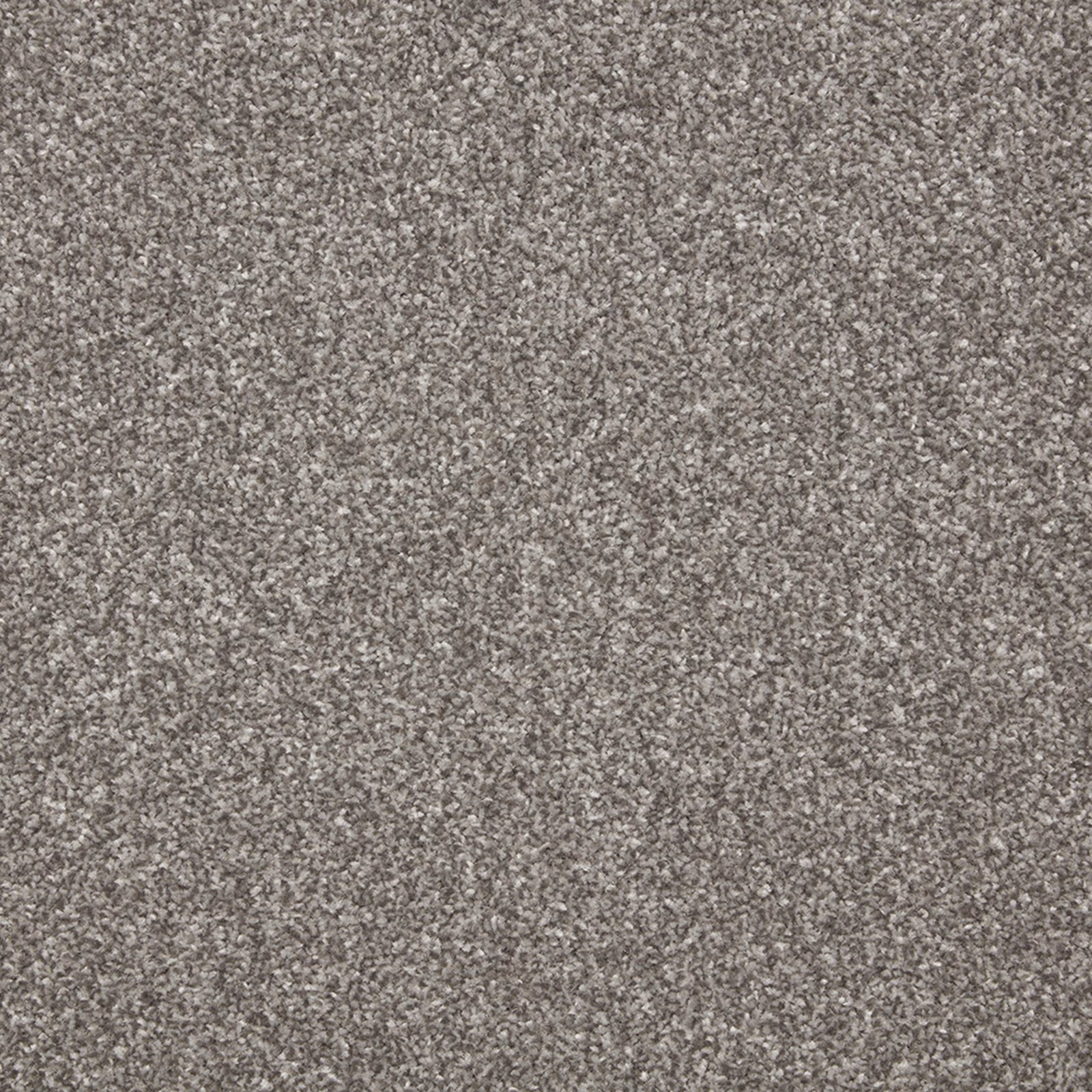 Warm mushroom-grey carpet with a dense, finely mottled short-pile texture