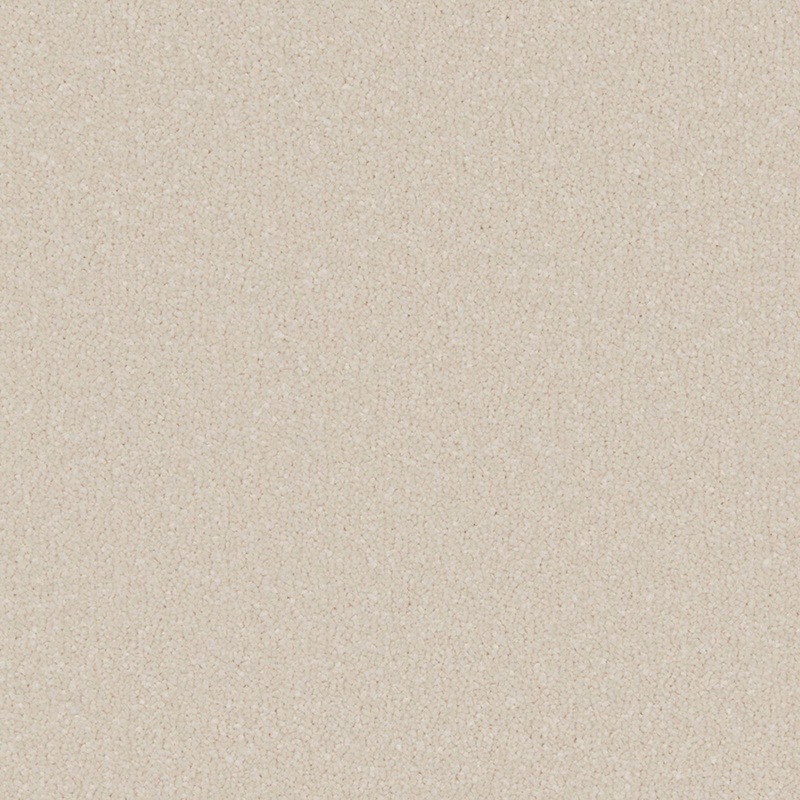 Pale oatmeal carpet with a close, softly flecked granular texture
