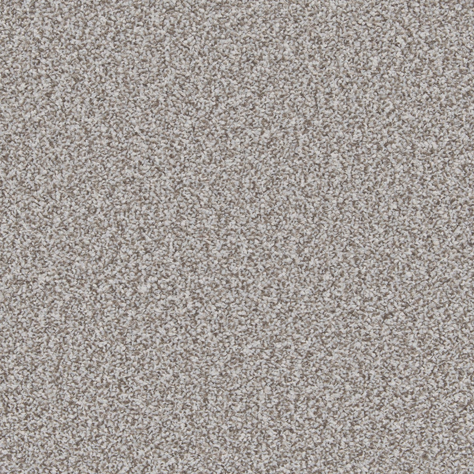 Cool greige taupe carpet showing a dense, fine flecked pile with stone-grey depth