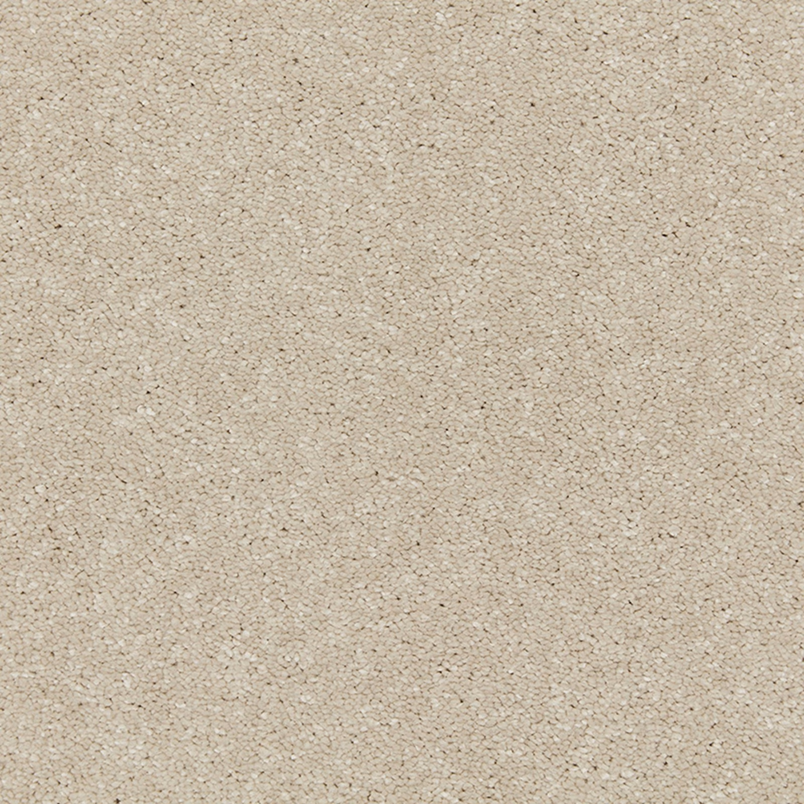 Pale oat-beige deep-pile carpet with fine flecks and a softly nubby texture