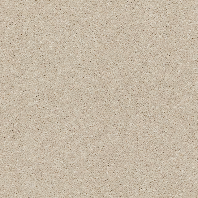 Pale oat-beige deep-pile carpet with fine flecks and a softly nubby texture