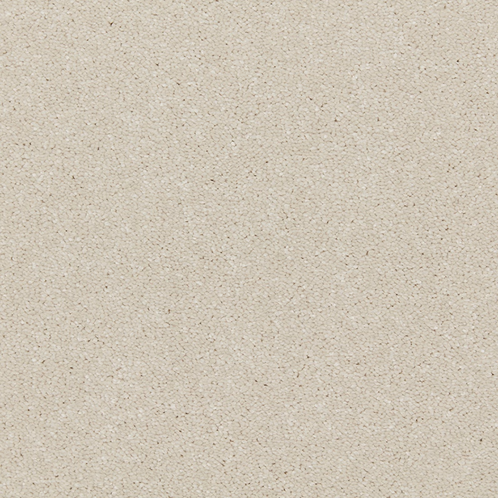 Pale ivory-beige deep-pile carpet with fine flecks and softly pebbled texture