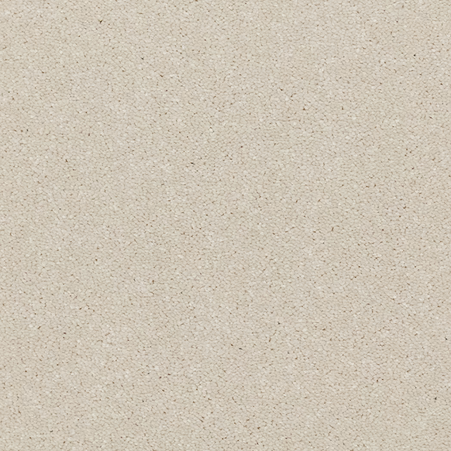 Pale ivory-beige deep-pile carpet with fine flecks and softly pebbled texture