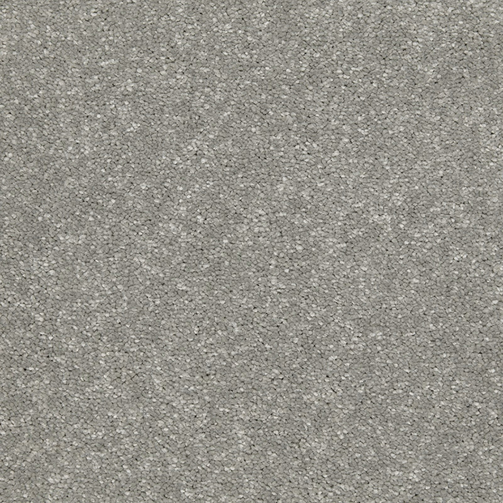 Cool Dolphin grey carpet with dense soft pile and fine tonal flecks