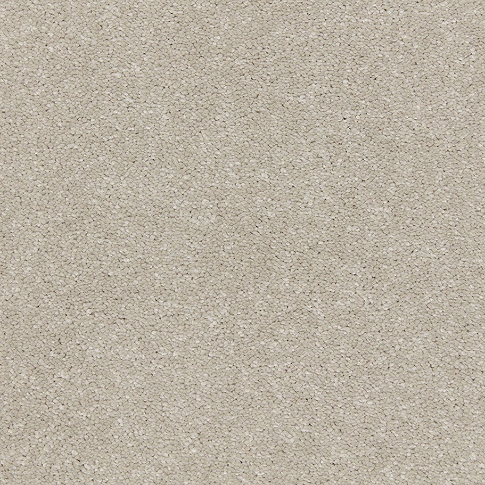 Soft deep pile carpet in pale stone taupe with subtle mottled texture