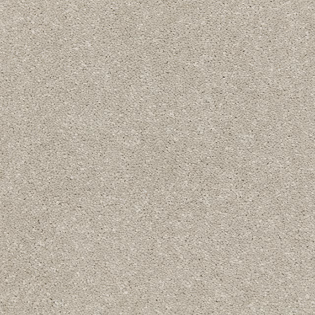 Soft deep pile carpet in pale stone taupe with subtle mottled texture