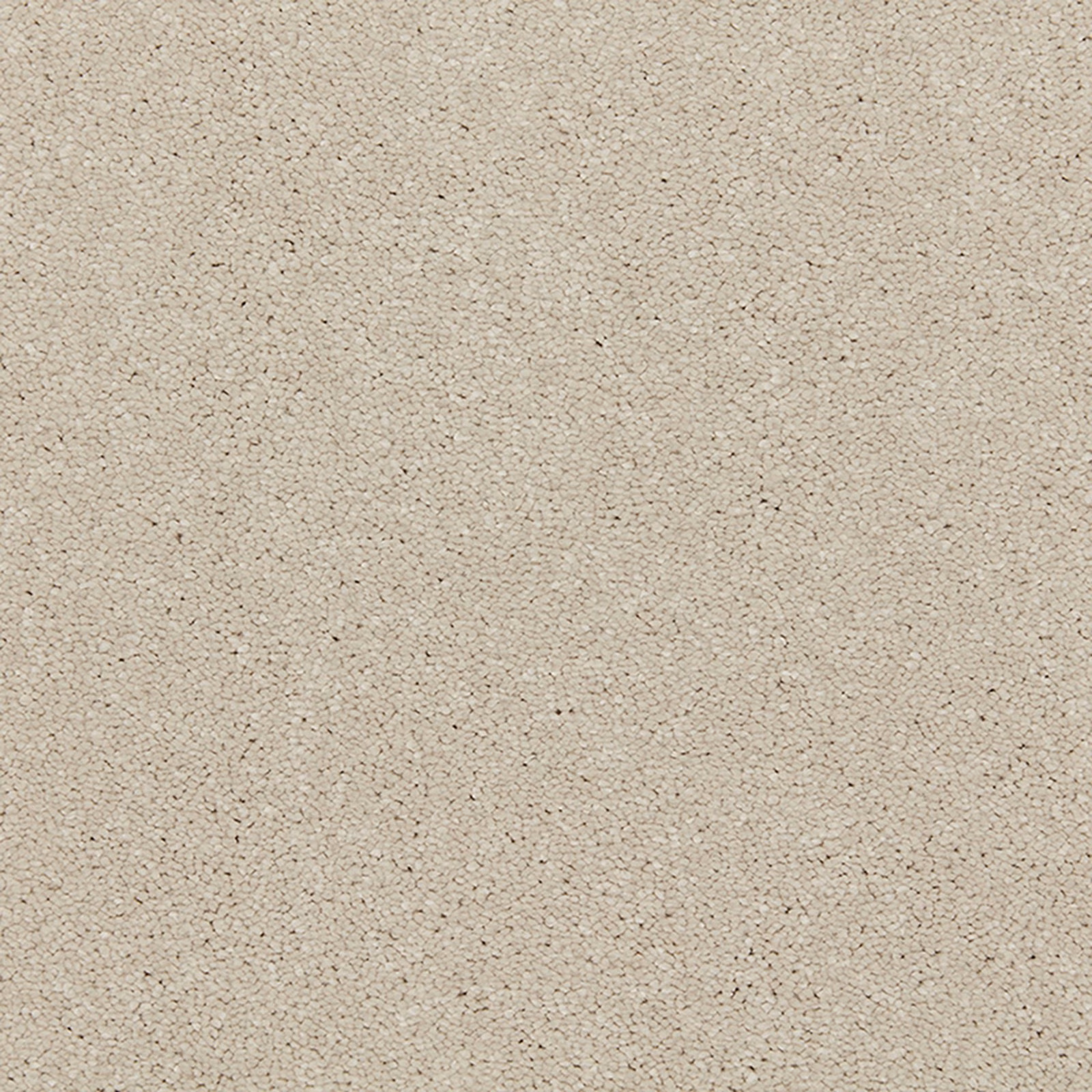 Warm ivory cream carpet showing a soft, finely pebbled deep-pile texture