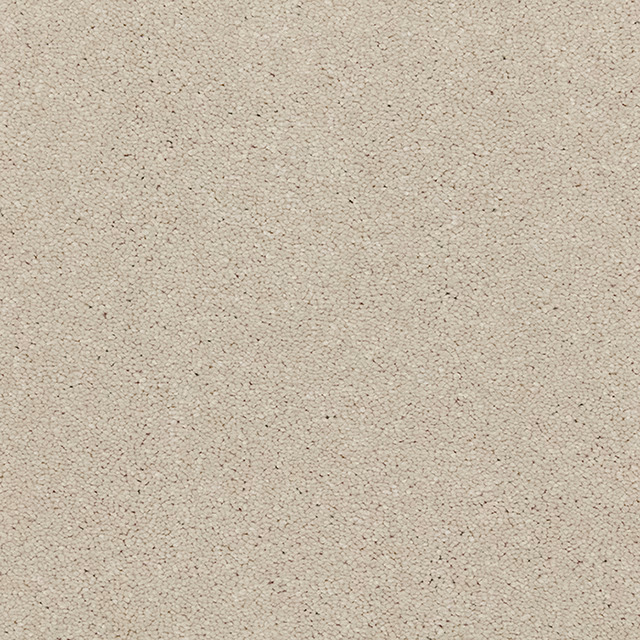 Warm ivory cream carpet showing a soft, finely pebbled deep-pile texture