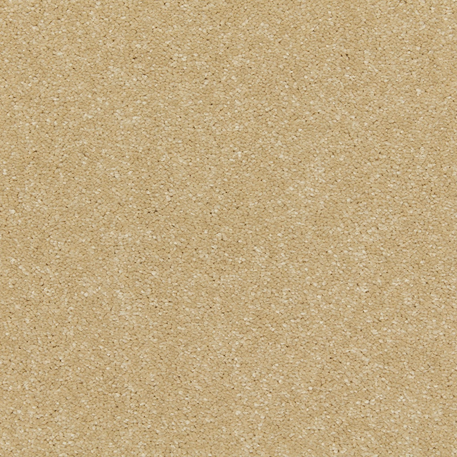Warm oat-beige Panama carpet with soft deep pile and fine cream flecking