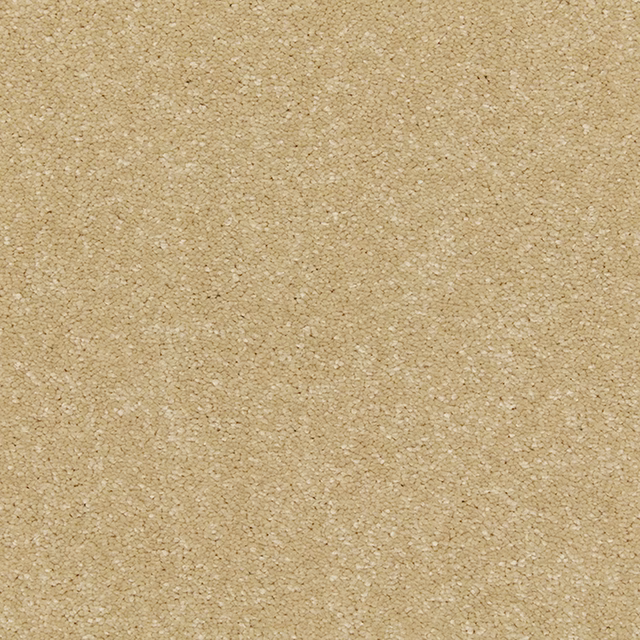 Warm oat-beige Panama carpet with soft deep pile and fine cream flecking