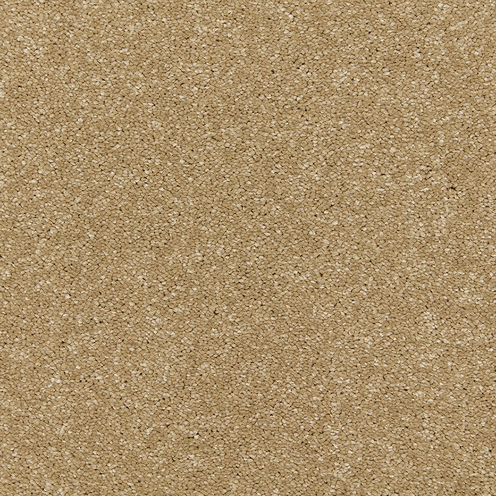 Warm camel-beige carpet with dense soft deep pile and fine pale flecks