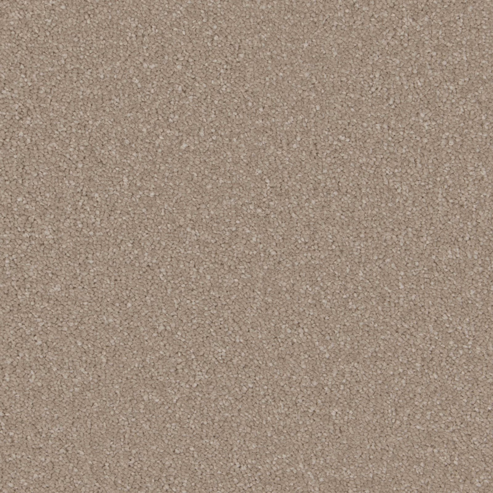 Warm mushroom-taupe carpet with dense soft deep-pile texture and subtle tonal flecks