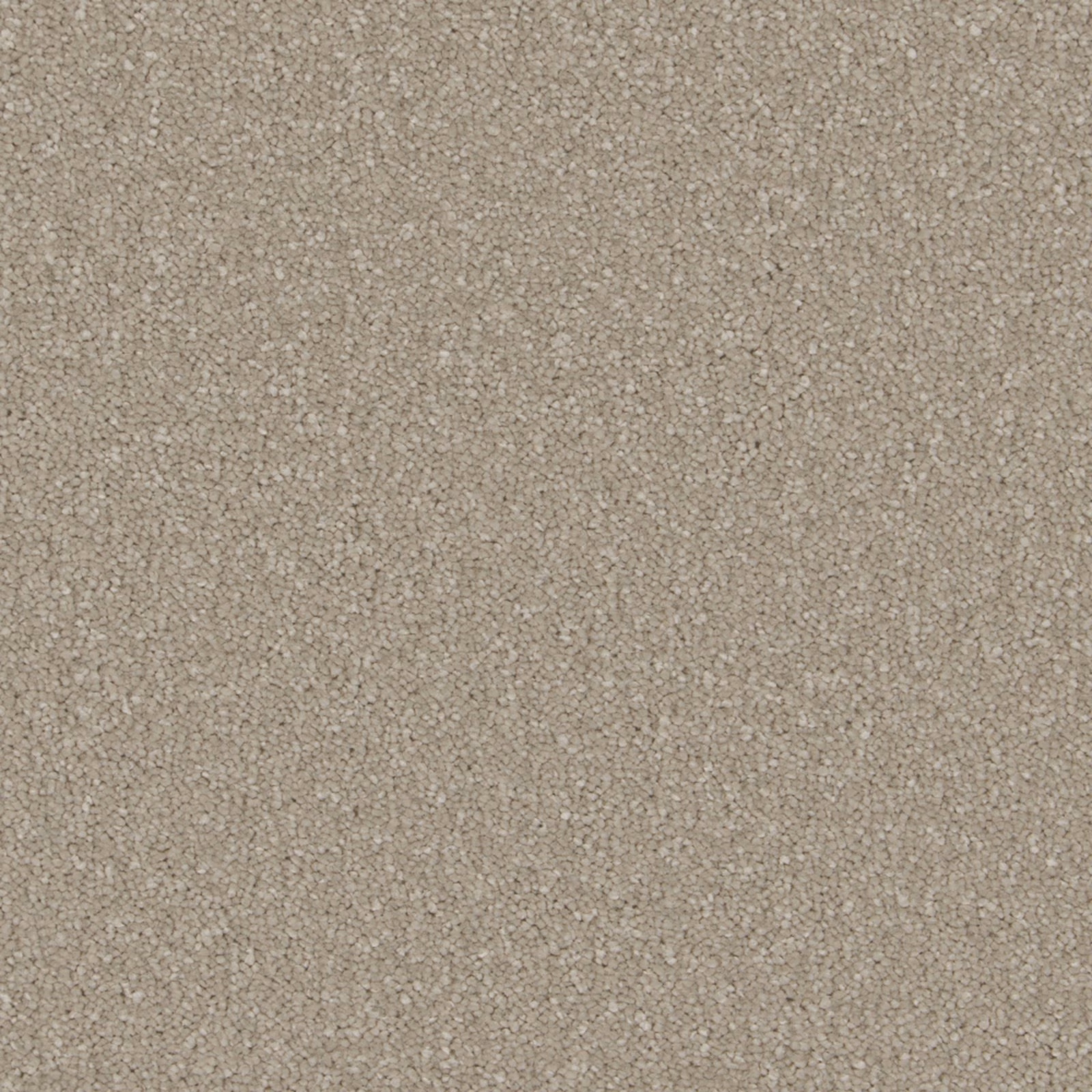 Muted greige-grey soft deep pile carpet with fine flecked texture