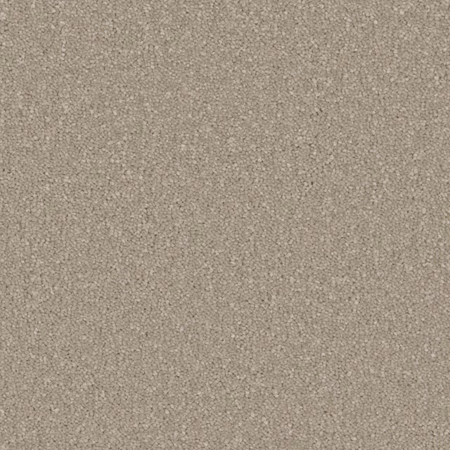 Muted greige-grey soft deep pile carpet with fine flecked texture