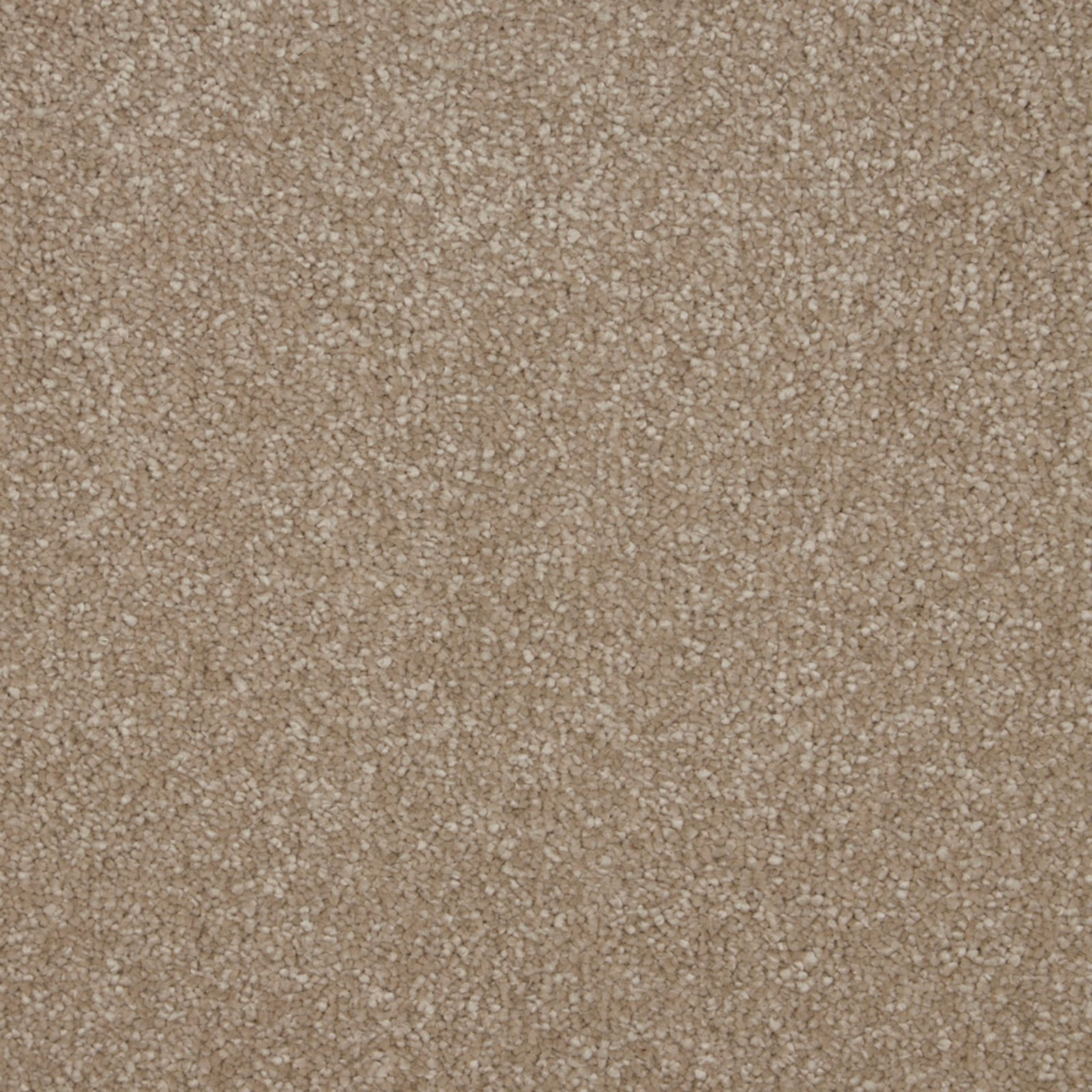 Warm stone-taupe carpet showing dense soft pile and fine flecked surface texture