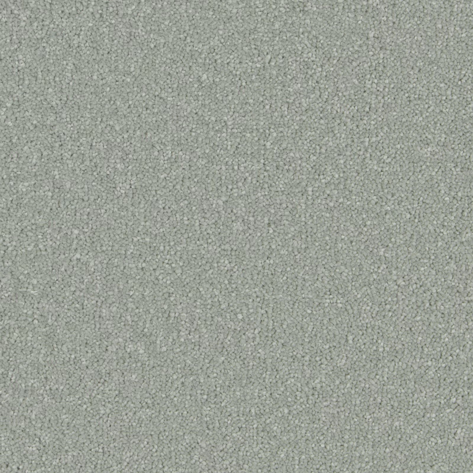 Pale Eau de Nil grey-green carpet showing dense soft deep pile and subtle tonal texture