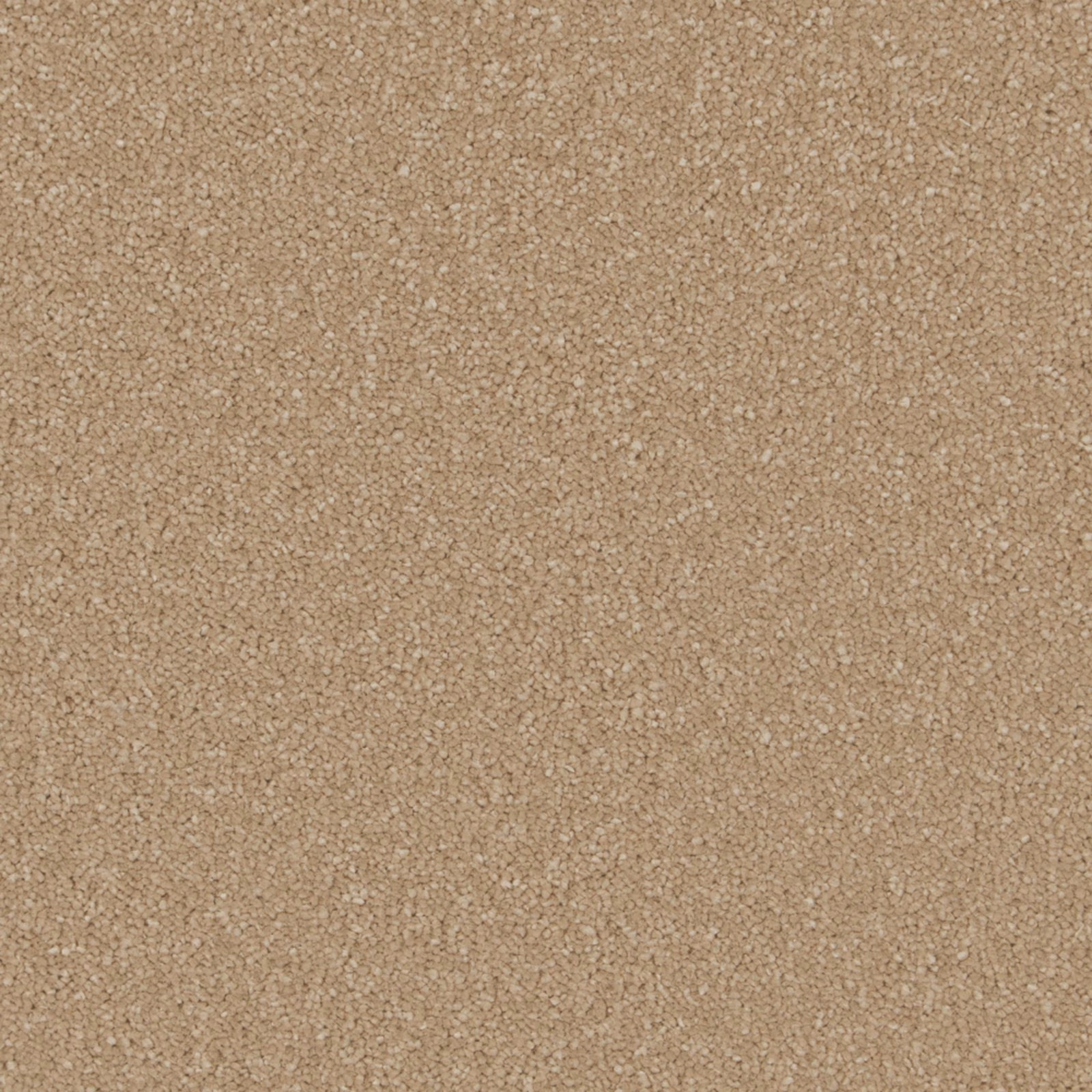 Warm gazelle beige carpet with softly flecked, plush deep-pile texture