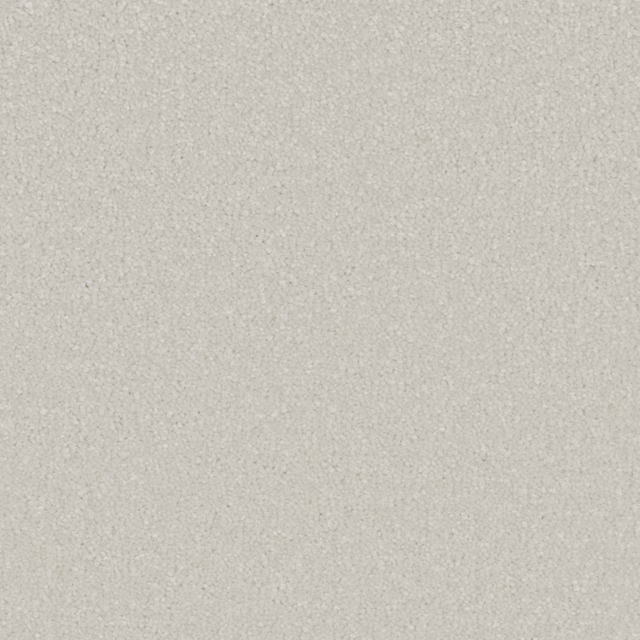 Pale Icing Sugar cream carpet showing a dense, softly mottled deep-pile texture