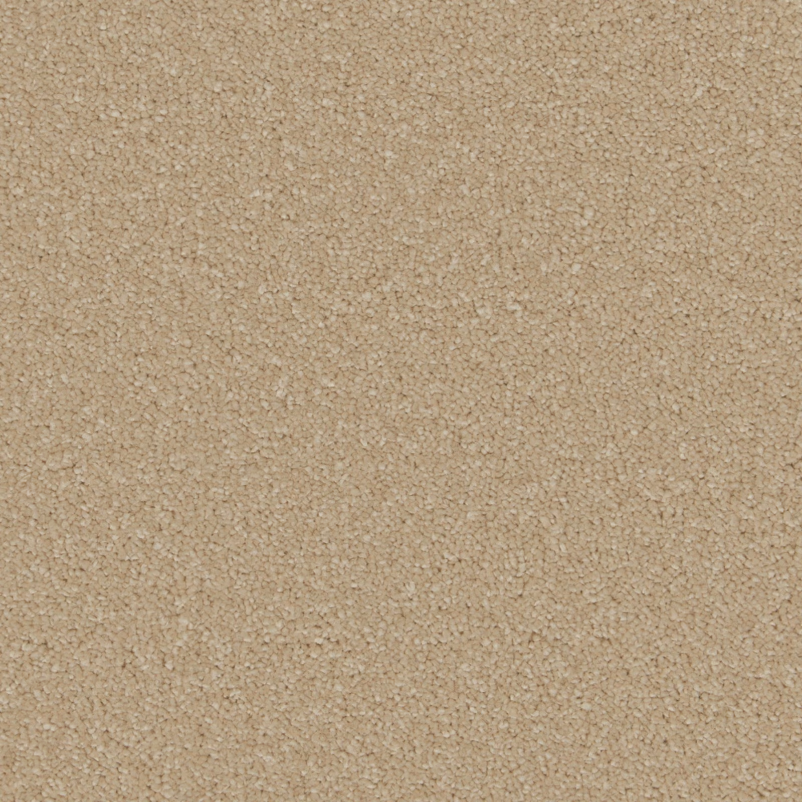 Warm oatmeal-beige carpet swatch showing dense soft pile and subtle mottled texture