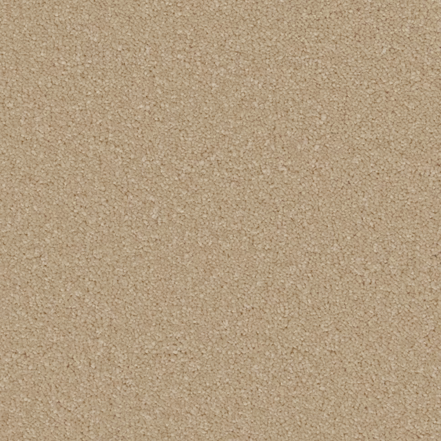 Warm oatmeal-beige carpet swatch showing dense soft pile and subtle mottled texture
