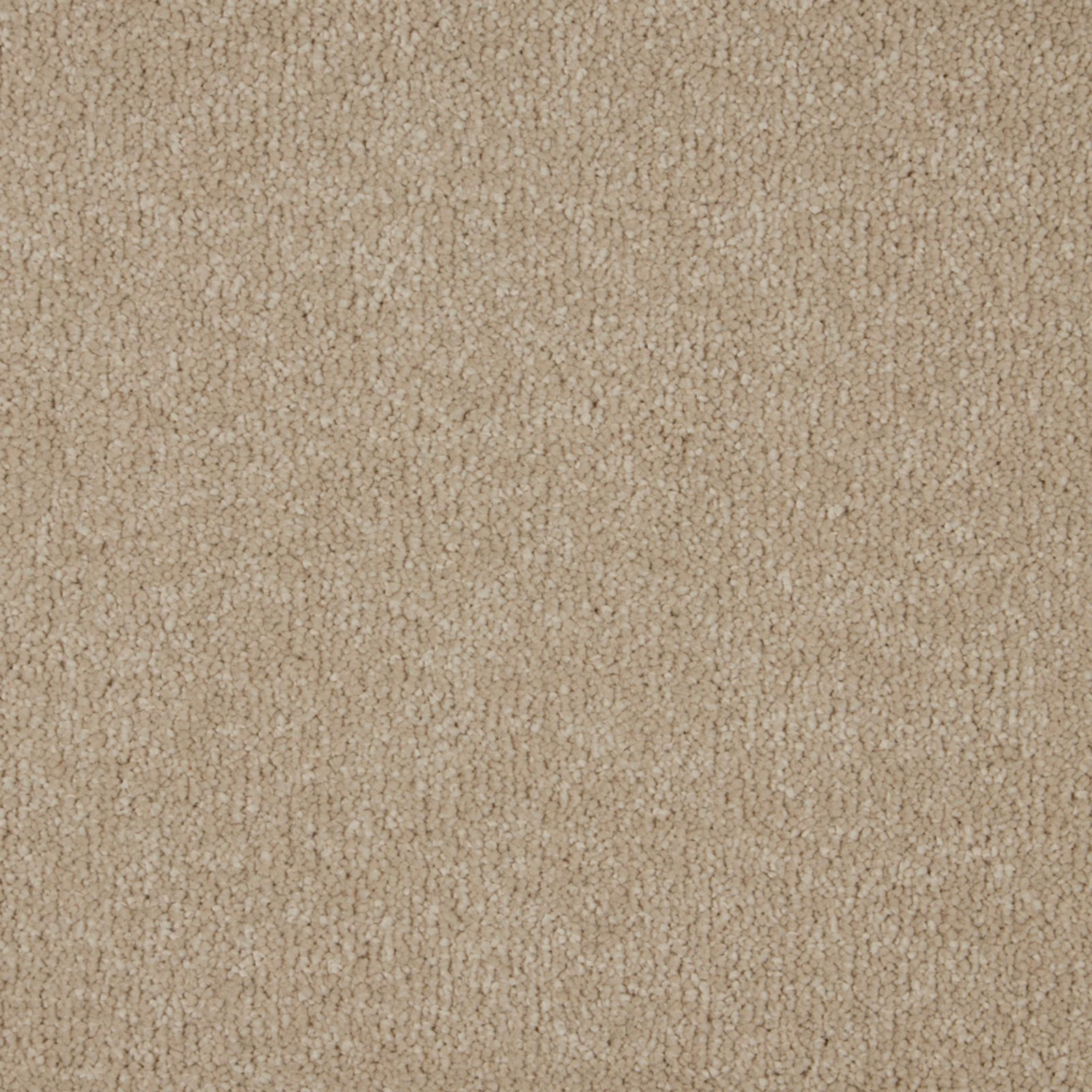 Warm latte-beige soft deep pile with a dense, subtly looped carpet texture