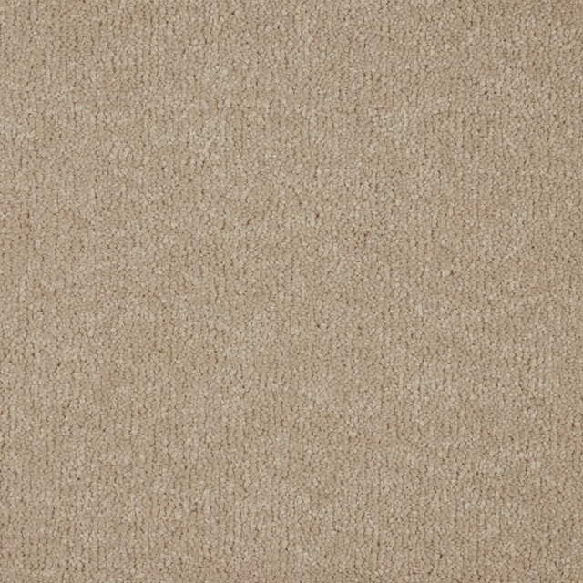 Warm latte-beige soft deep pile with a dense, subtly looped carpet texture