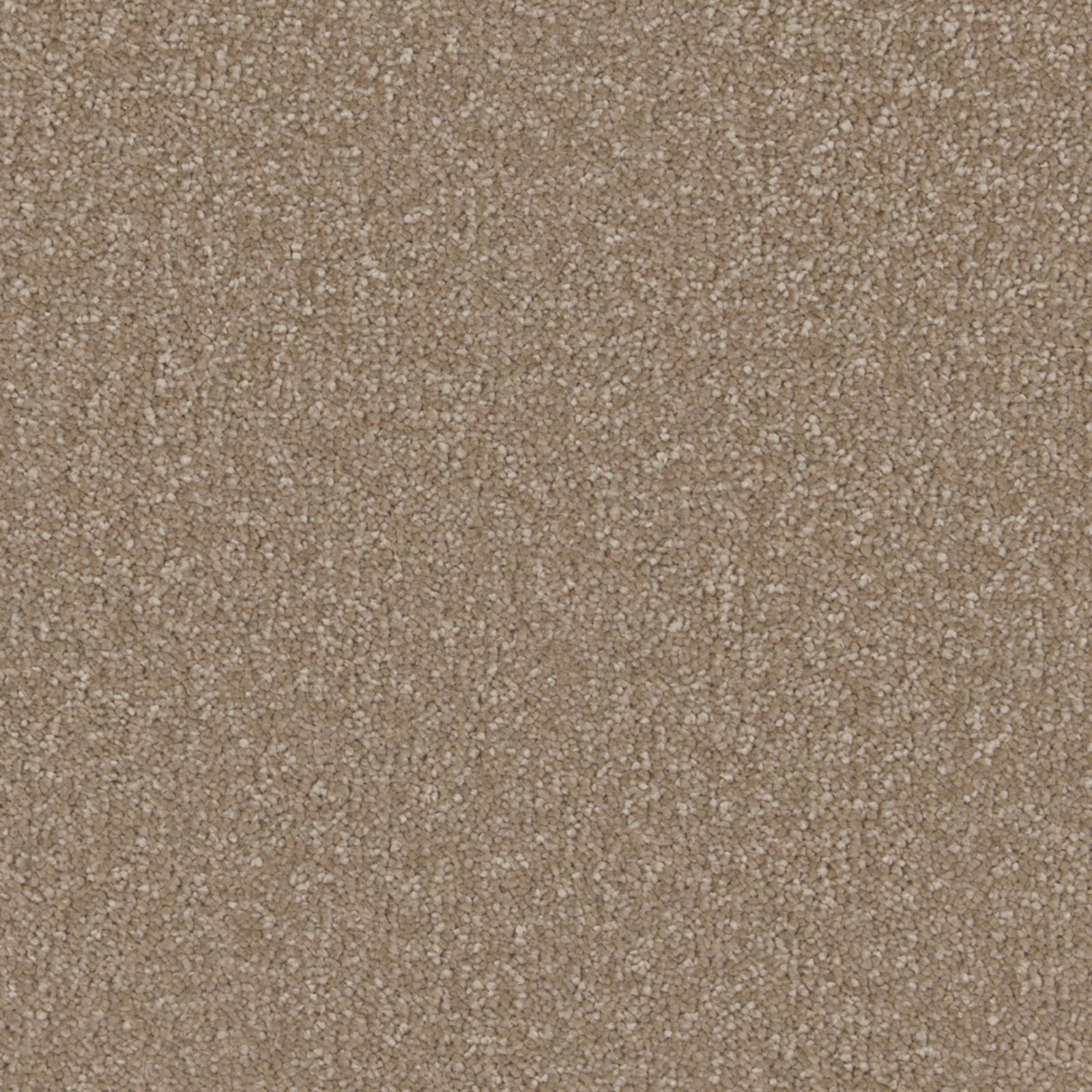 Close view of warm light taupe carpet with dense, softly flecked deep pile