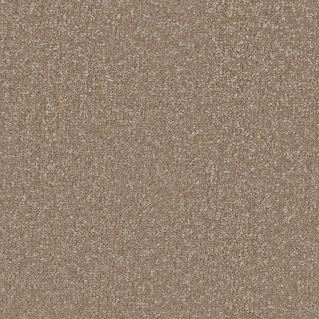 Close view of warm light taupe carpet with dense, softly flecked deep pile