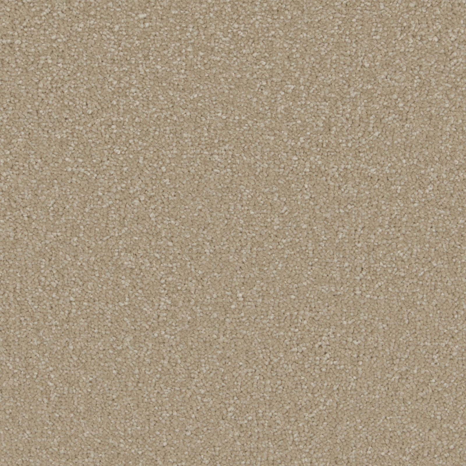 Warm sandy beige carpet swatch showing dense soft deep pile and subtle pebbled texture