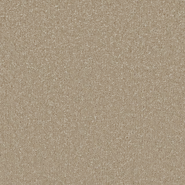 Warm sandy beige carpet swatch showing dense soft deep pile and subtle pebbled texture