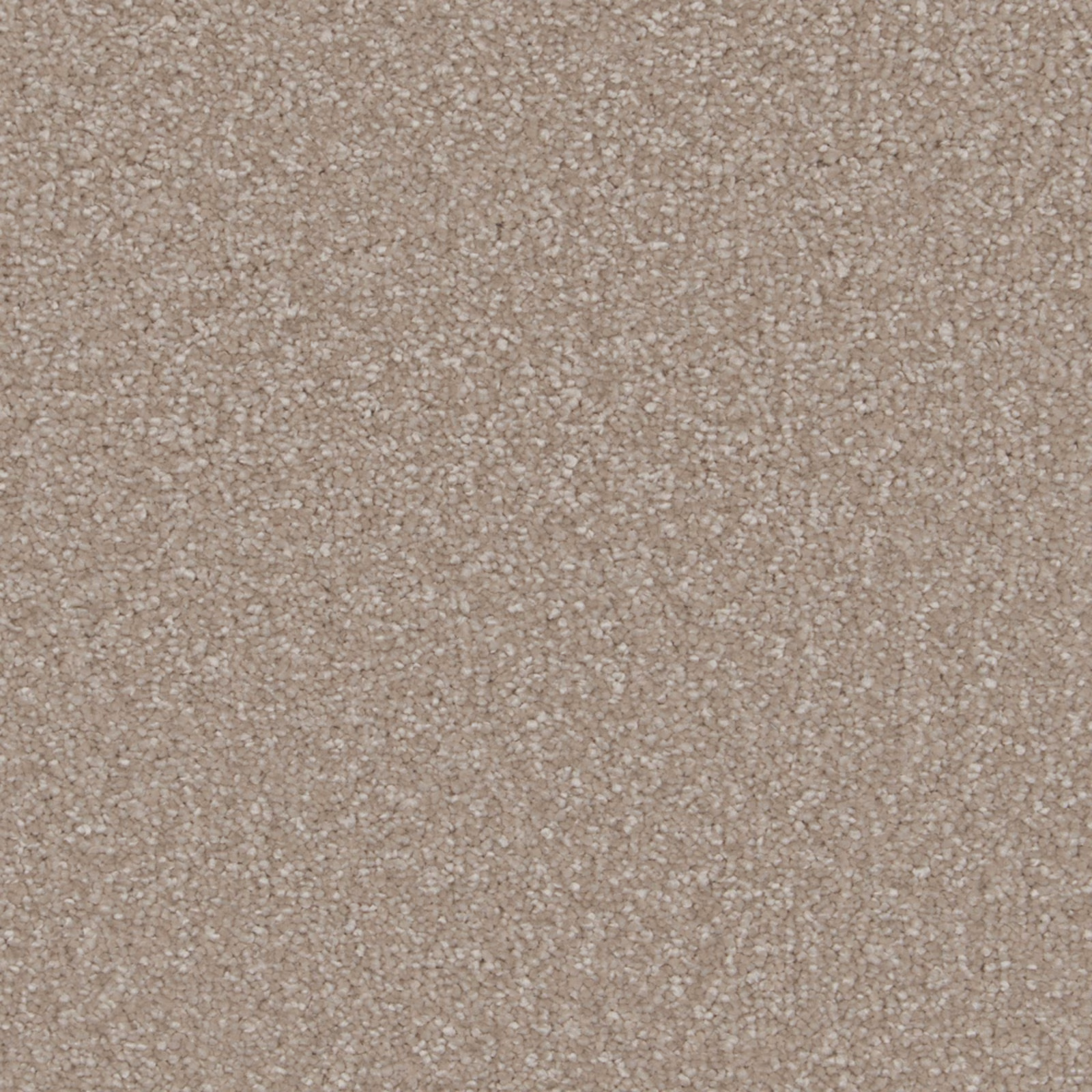 Warm taupe-beige soft deep pile with fine pale and darker flecks