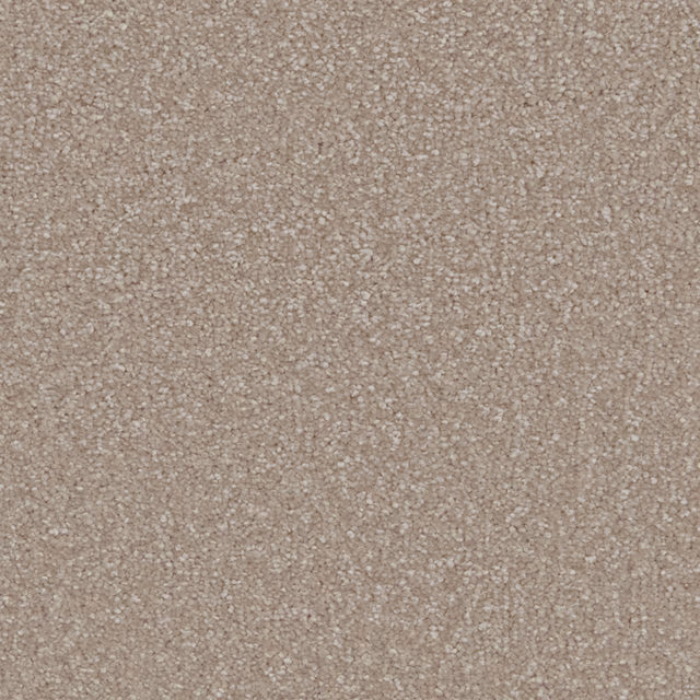 Warm taupe-beige soft deep pile with fine pale and darker flecks