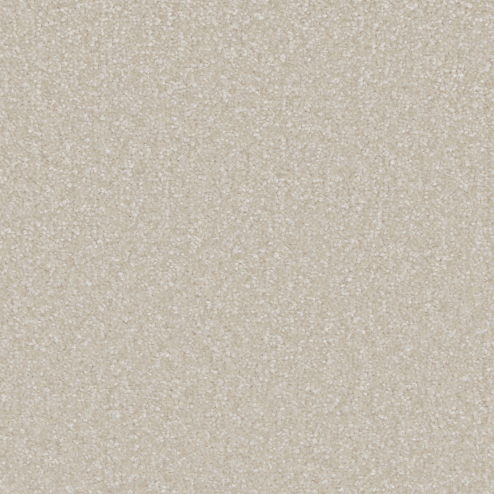Pale orchid-greige deep pile with softly flecked, plush texture