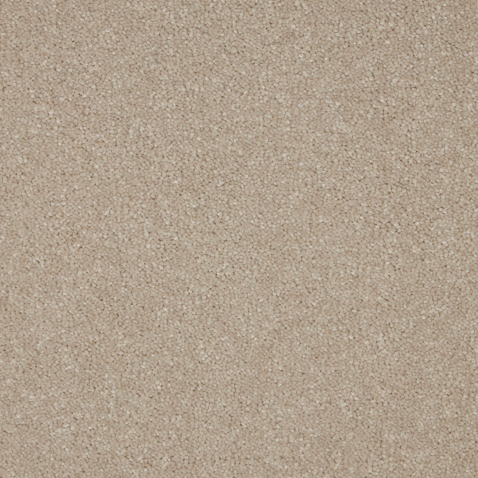 Warm opal-beige carpet swatch showing a softly flecked, pebbled deep-pile texture