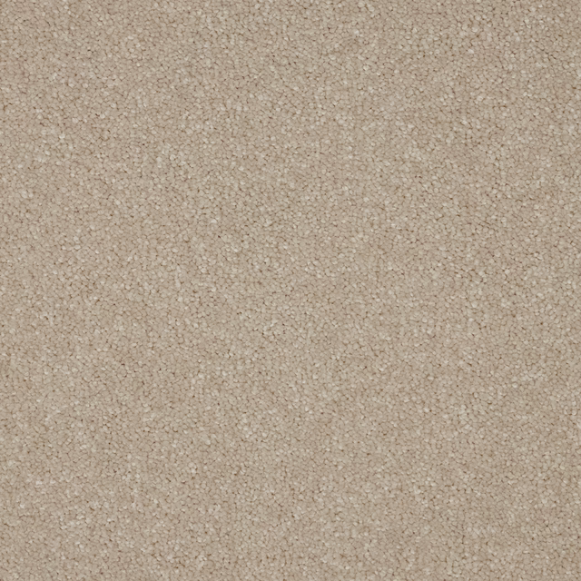 Warm opal-beige carpet swatch showing a softly flecked, pebbled deep-pile texture