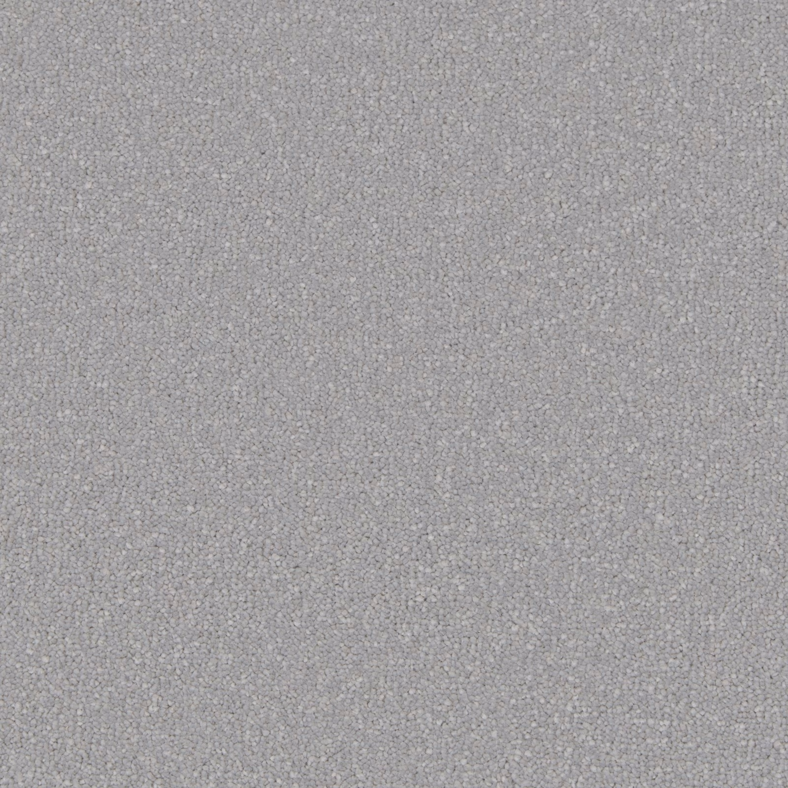 Pale cool-grey Alpina carpet showing a dense, softly mottled deep pile
