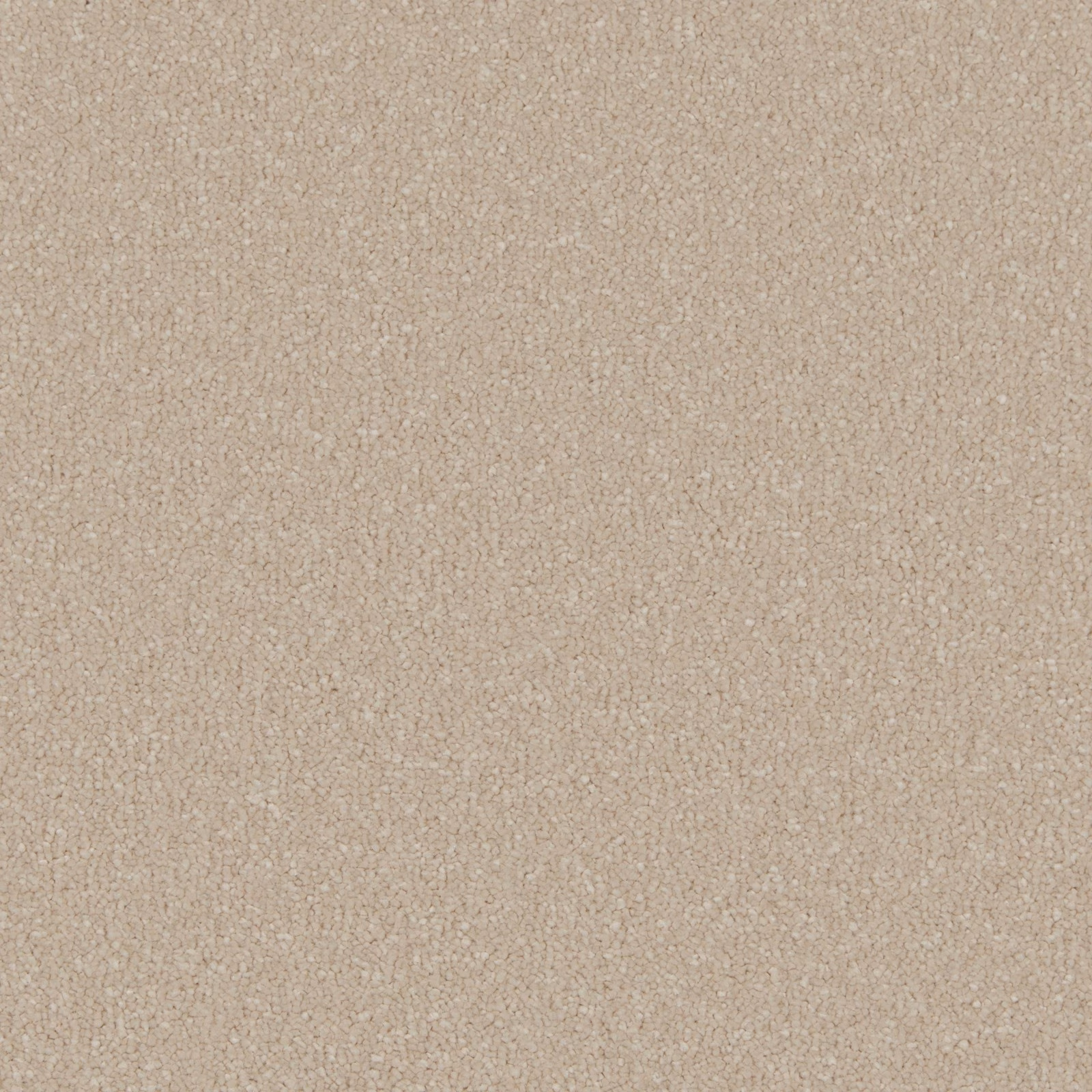 Warm ivory-beige carpet swatch showing soft deep pile and subtle flecked texture