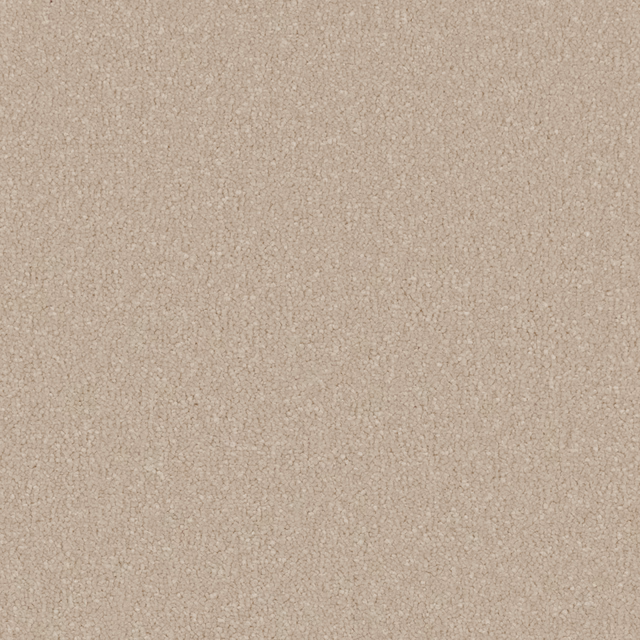 Warm ivory-beige carpet swatch showing soft deep pile and subtle flecked texture