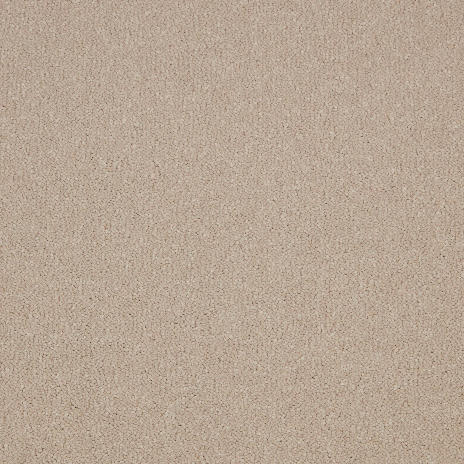 Warm barley-beige carpet showing dense soft deep pile and fine mottled texture