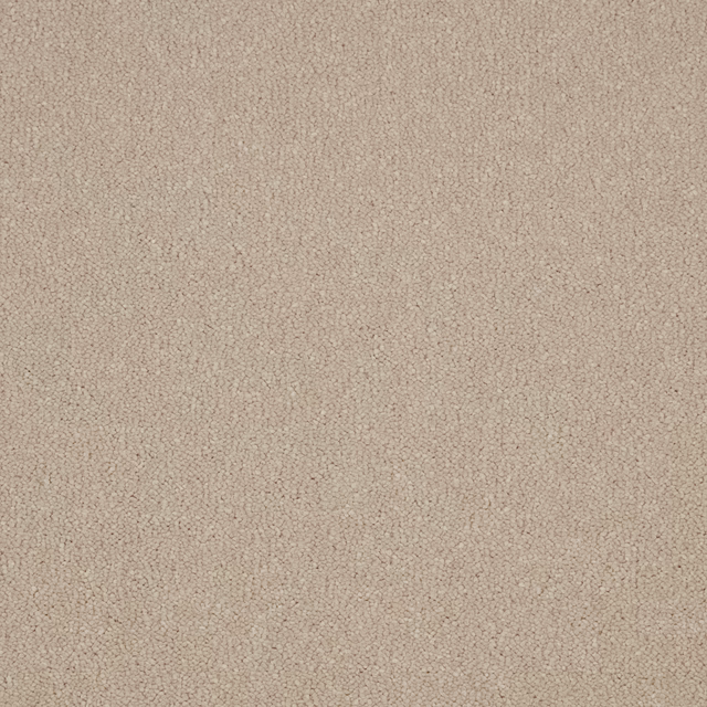 Warm barley-beige carpet showing dense soft deep pile and fine mottled texture