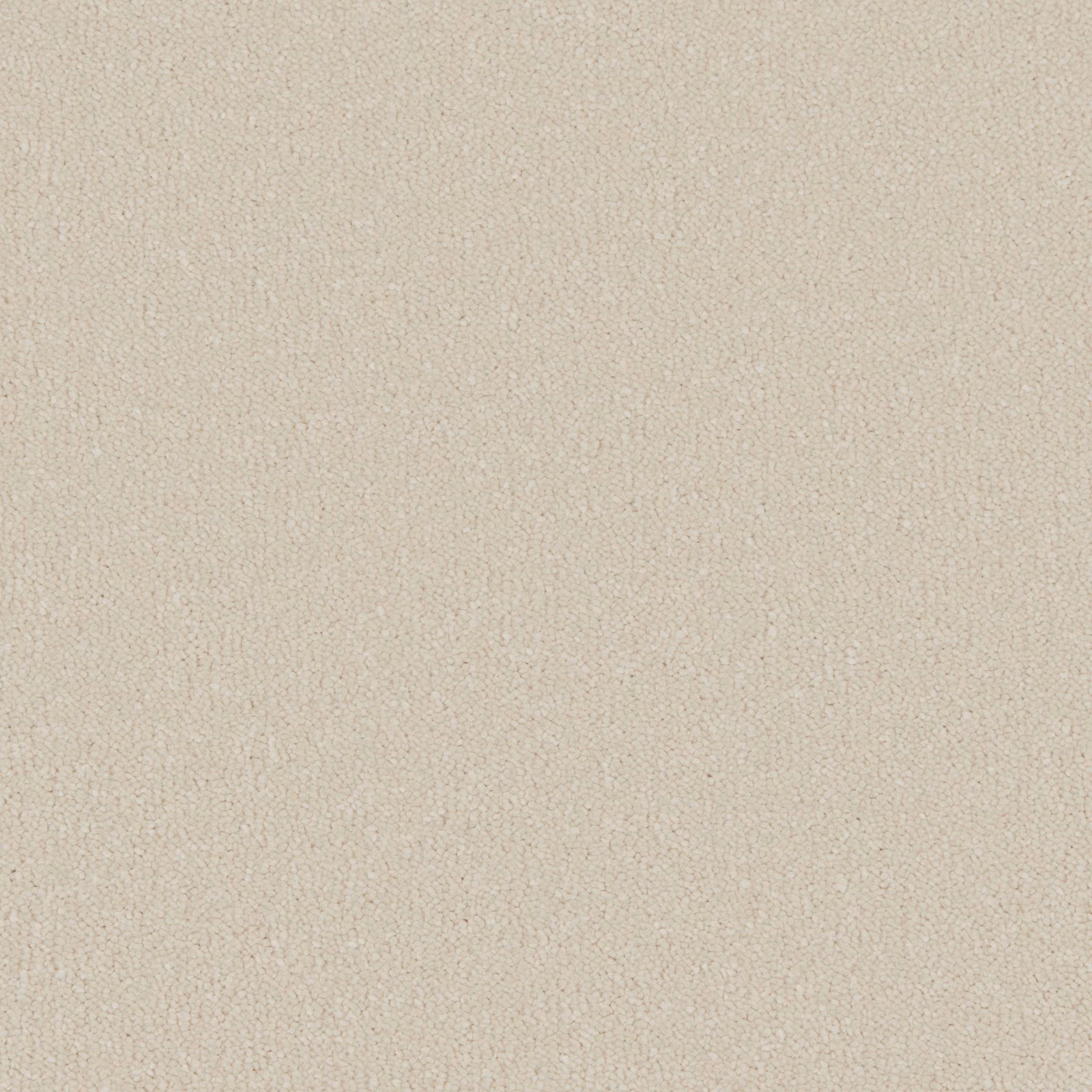 Warm County Cream carpet with dense soft pile and fine tonal flecking